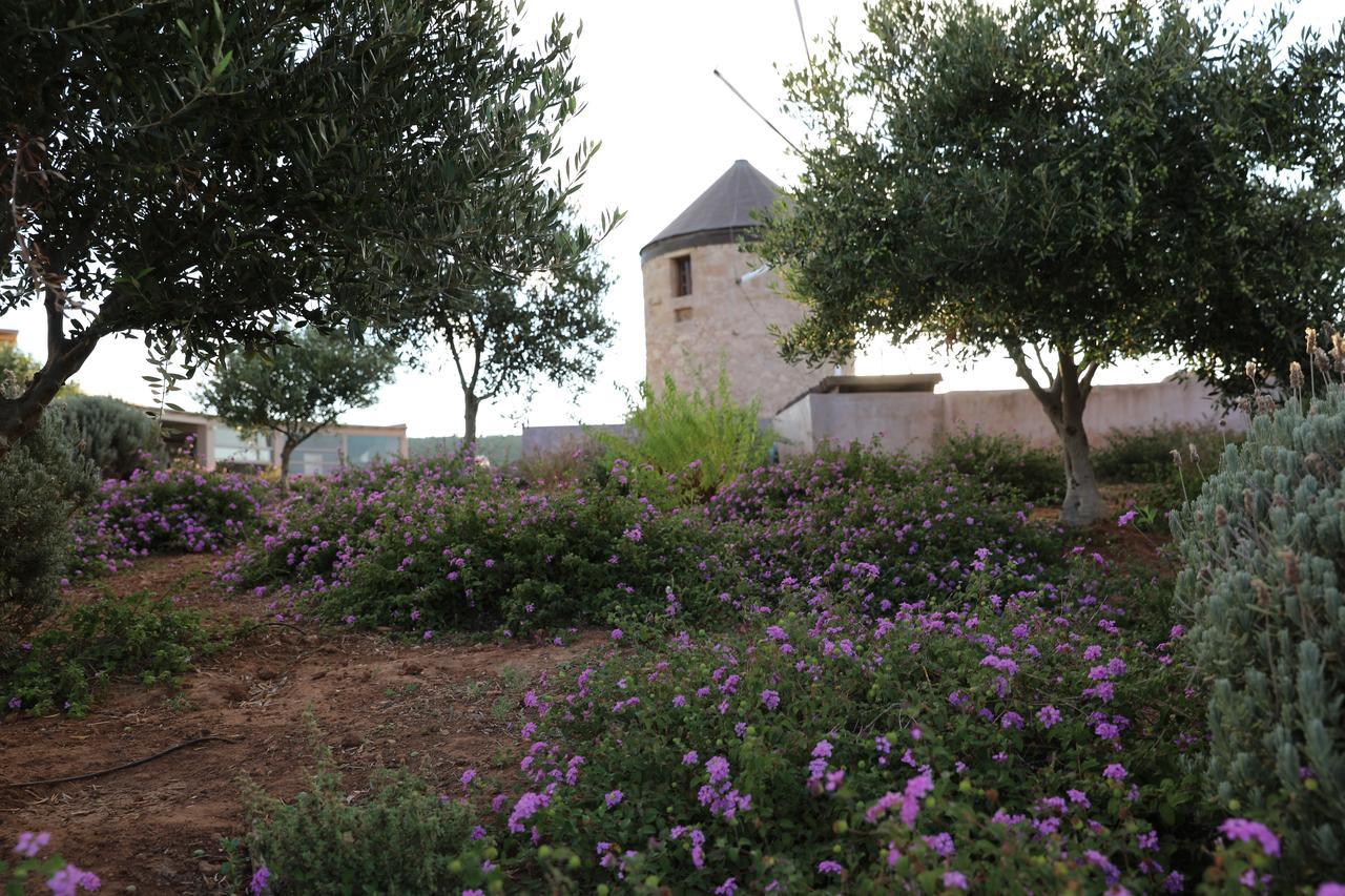The Windmill Resort Mitáta Dış mekan fotoğraf